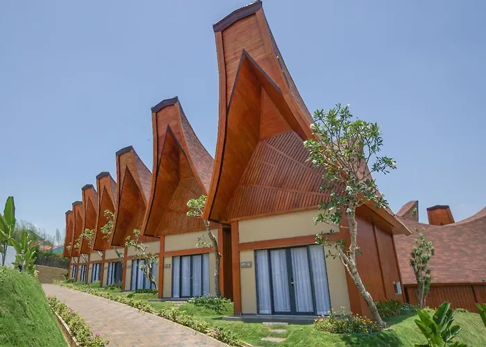 Shanaya