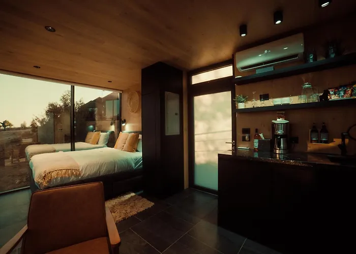 Bajo Estrellas Hotel Contemporáneo