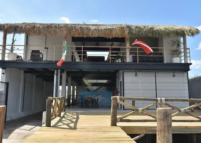 Sealion Dive Center