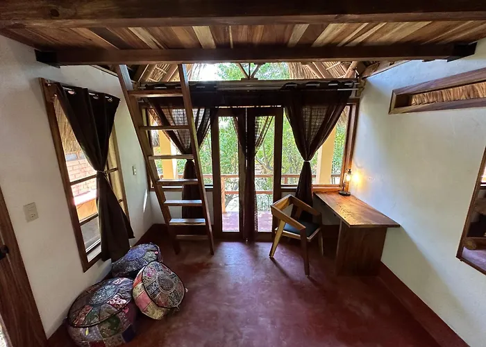 Casa AVA