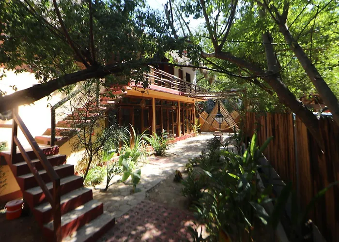 Casa AVA