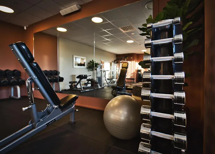 Hotel Birger Jarl