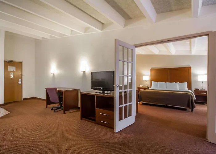 Comfort Inn & Suites Madison - Airport