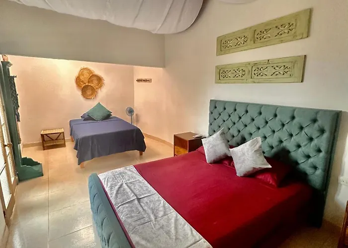 Hotel Renasci Palomino