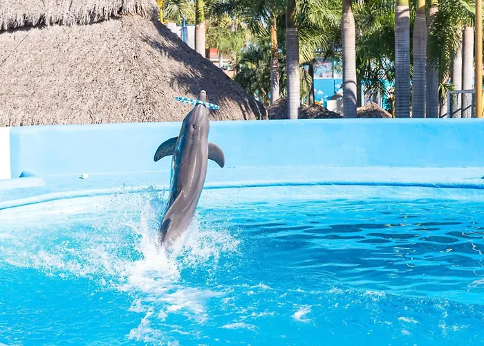 Splash Inn Nuevo Vallarta&Parque Acuatico