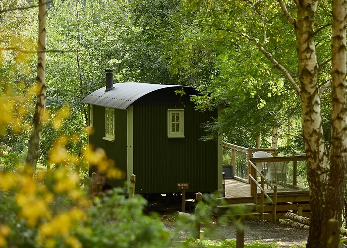 The Fish Hotel