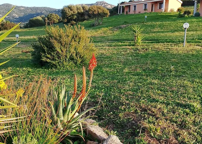 agriturismo gli olivastri -appartamento bel vedere con piscina ,solarium e vista mare,climatizzatore ,wifi