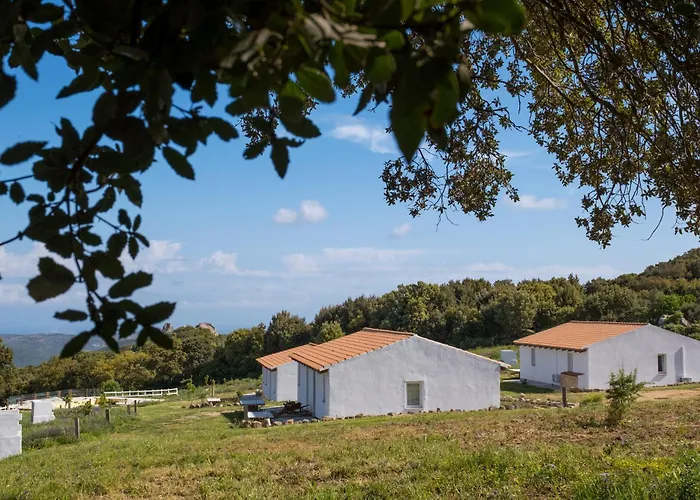 Agriturismo Cultisia Luogosanto