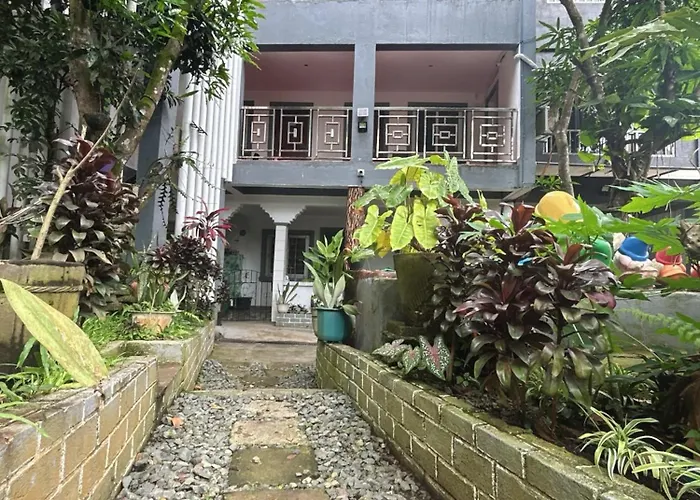 Purple Orchid Bed And Breakfast