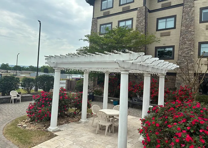 Comfort Inn & Suites Near Lake Guntersville