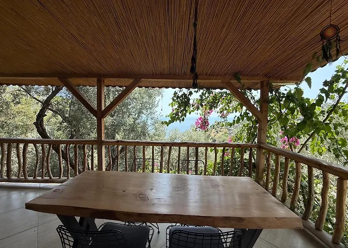 Stone House With Pool Among Olive Trees In Kabak