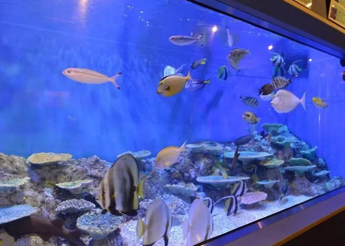 Hotel Takeshima