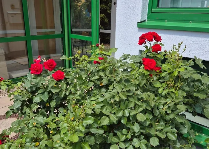 Hotel Lindenthal
