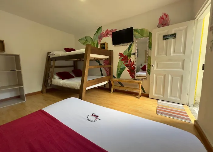 Chunuu - Glamping - Coworking