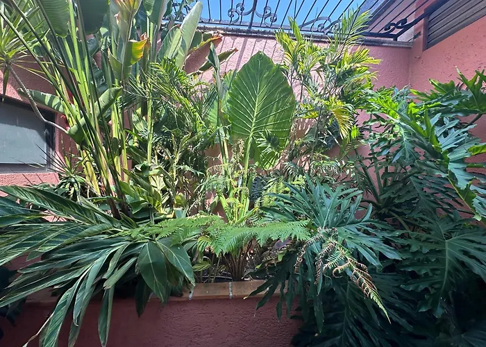 Casona De Elefantes Boutique Hotel