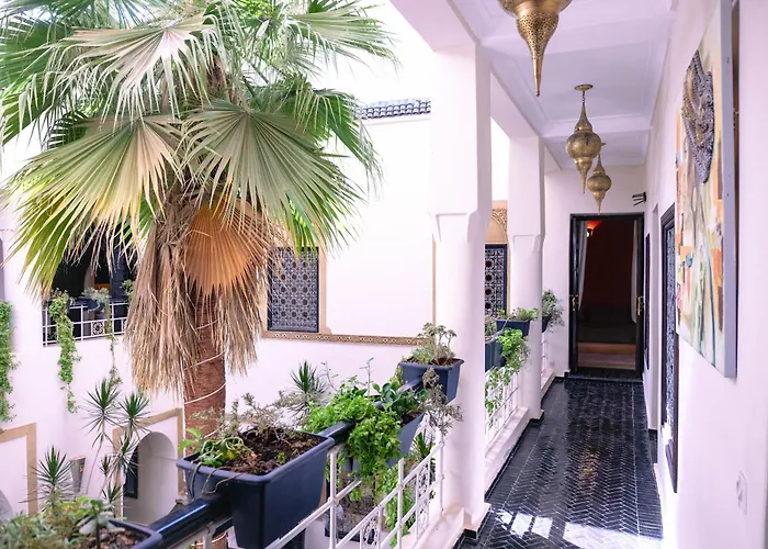 Riad Oasissime