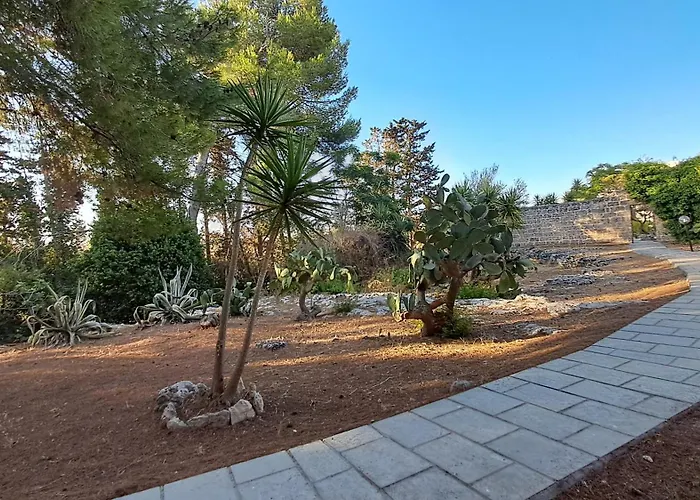 Masseria Artemisia