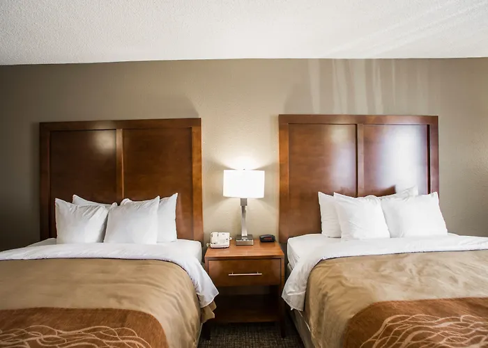 Comfort Inn & Suites Hazelwood - St Louis