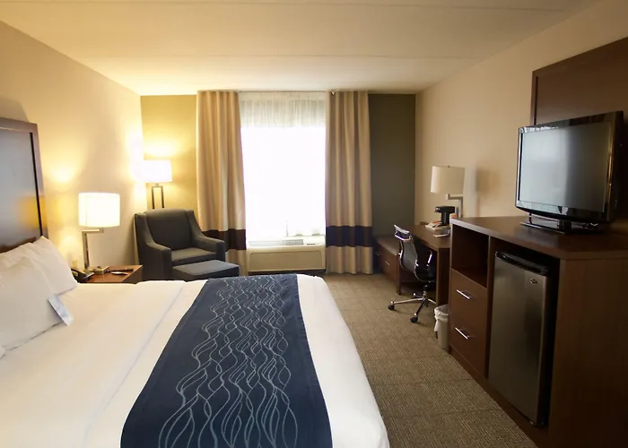 Comfort Inn Near Quantico Main Gate North Dumfries
