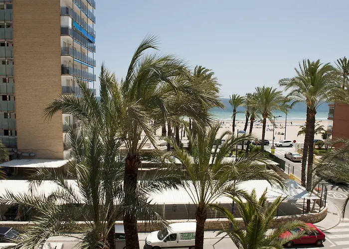 Hotel El Palmeral