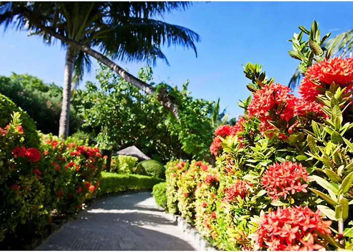 Adaaran Prestige Vadoo (Adults Only) Hotel Vadoo Island