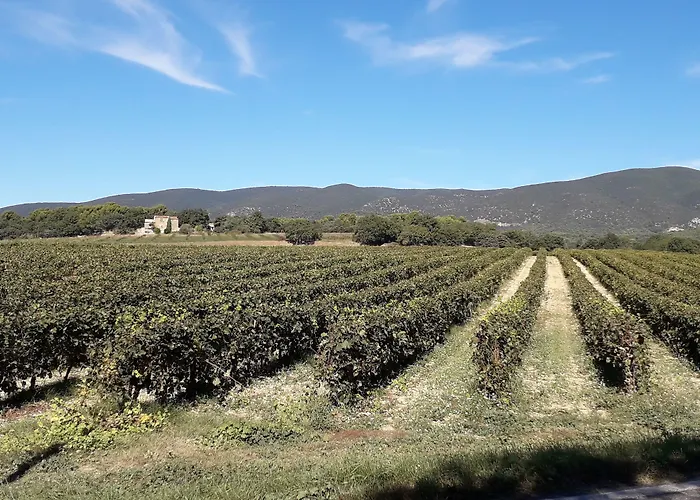 Le Mas Du Colombier Cadenet