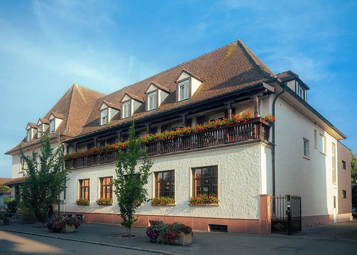 Hotel Au Nid De Cigognes Ostheim