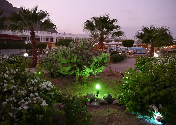 Happy Life Village Dahab