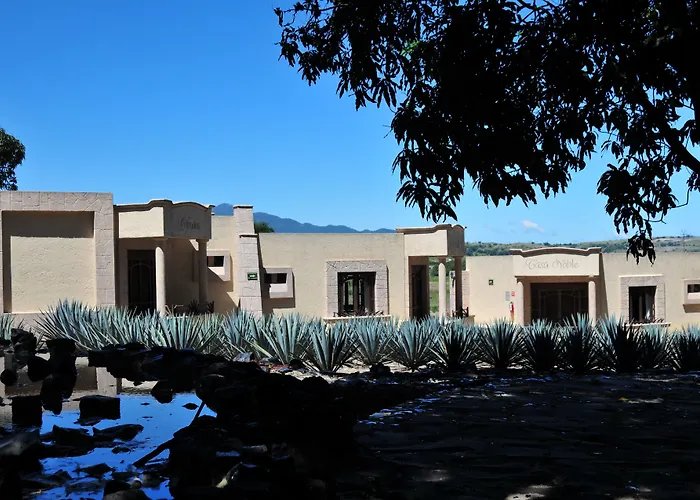 Matices Hotel De Barricas Tequila
