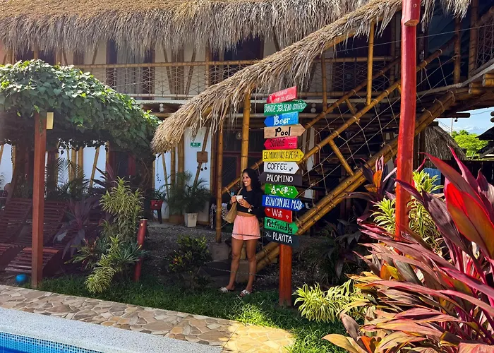 Hoteles con Piscina en Palomino