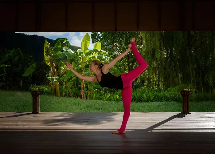 Thelifeco Phuket - Holistic Wellbeing Center