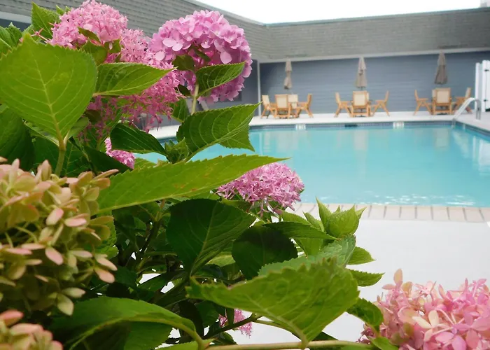 Comfort Inn & Suites Glen Mills - West Chester