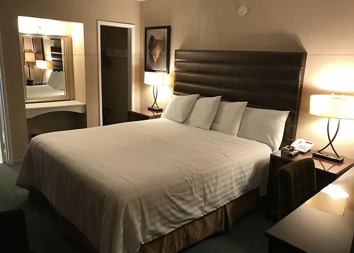 Discovery Inn