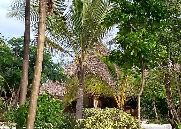 Marafiki Bungalows Kiwengwa 
