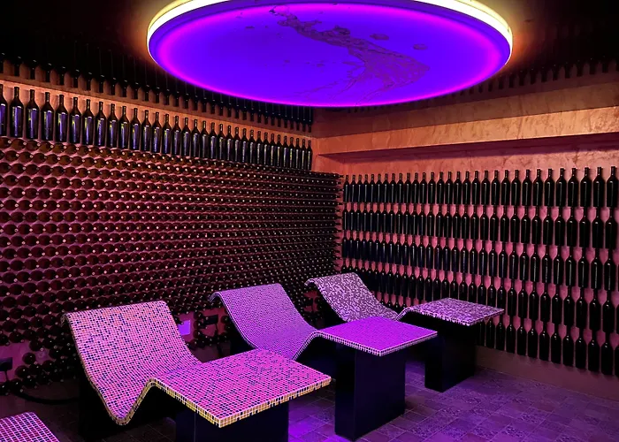 Hotel SPA Bodega La Casona de La Vid