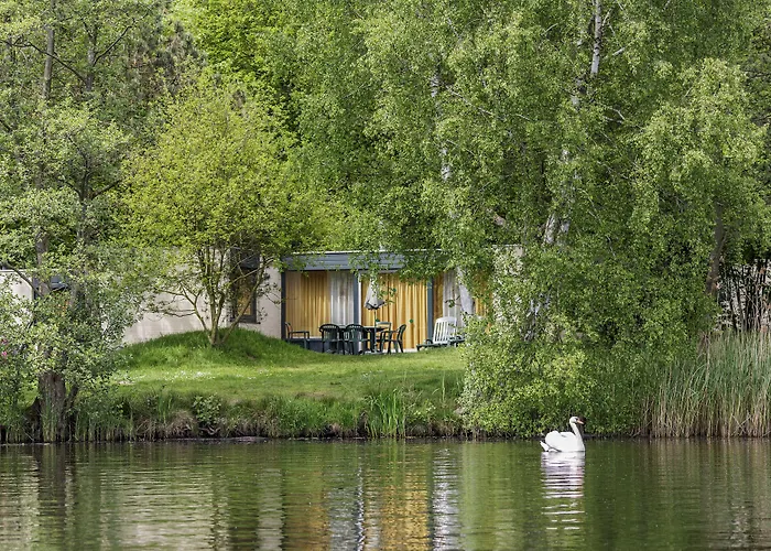 Center Parcs Meerdal Limburg-Brabant America