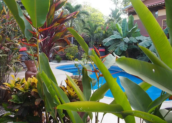 Samara Palm Lodge