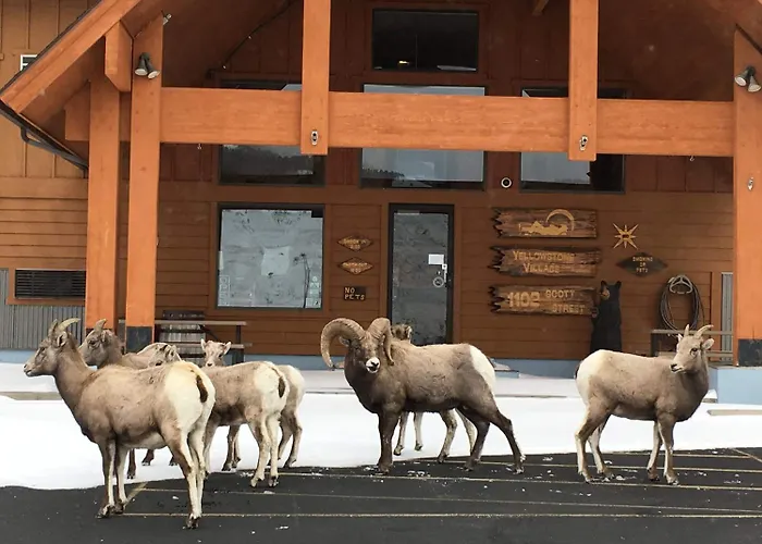 Yellowstone Village Inn And Suites