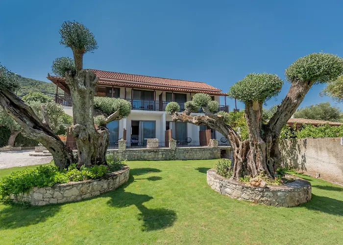Eptanisos Beachfront Suites Zante