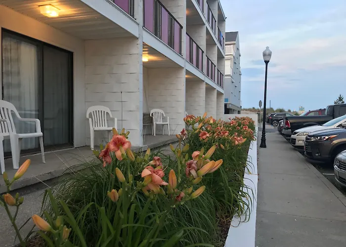 Simple Life Motel