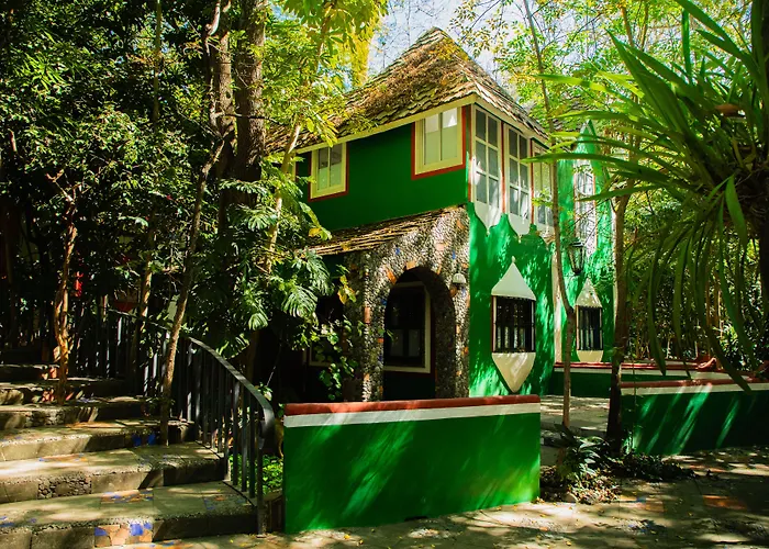 Hotel La Casa de los Árboles Immersive Experience