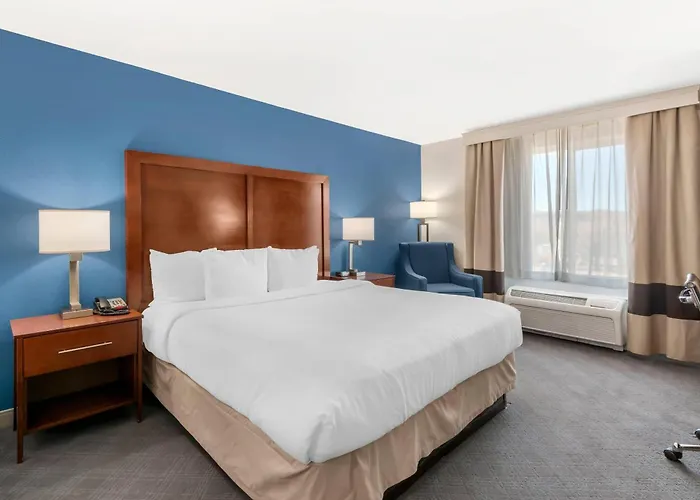 Comfort Inn & Suites Rifle