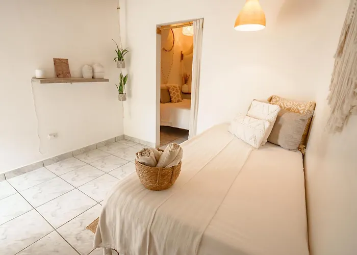 Tribe Boutique Hotel - Adults Only