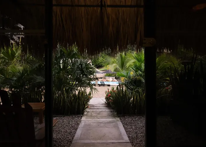 Jungla EcoLuxury Resort