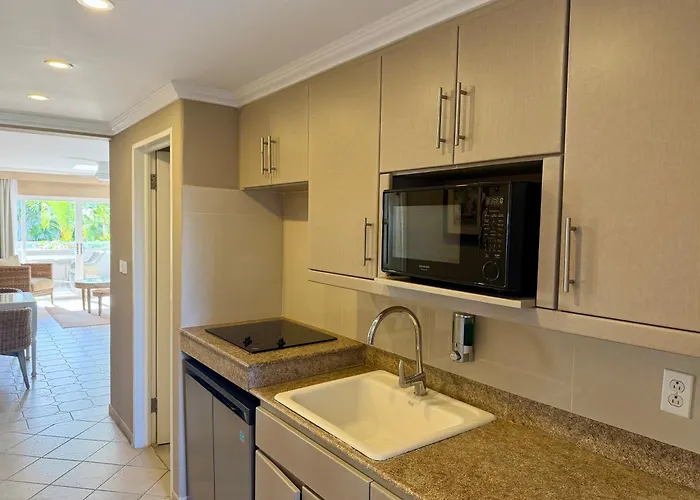 Bougainvillea Barbados