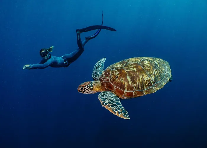 Bunaken Oasis Dive Resort And Spa