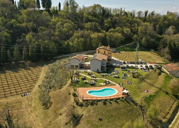 Le Vigne Incantate