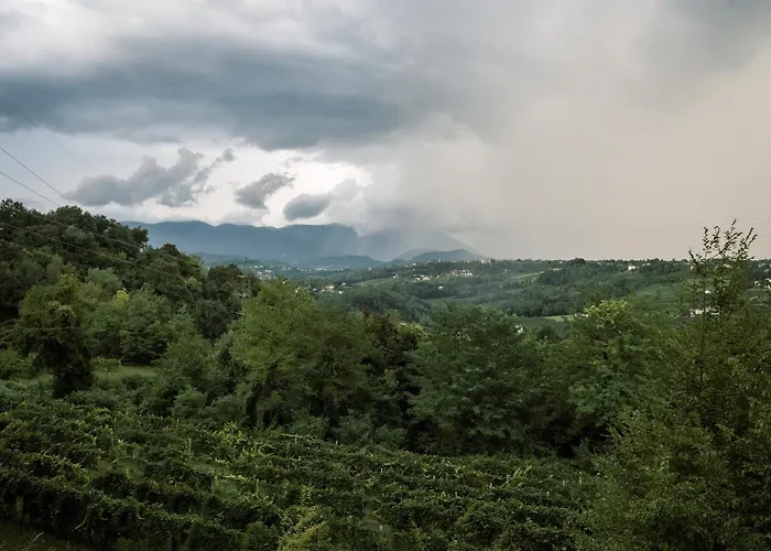 Le Vigne Incantate