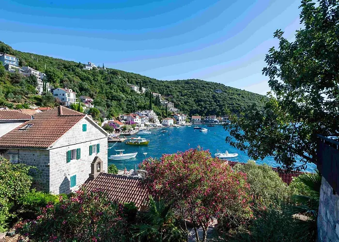 Forte Rose Hotel Herceg Novi