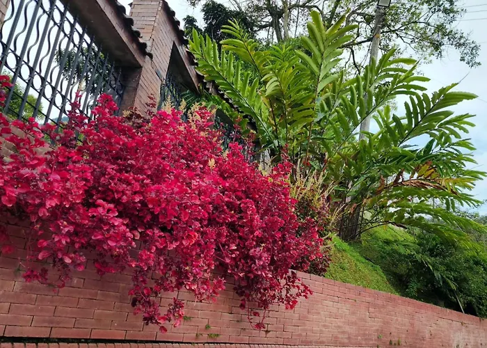 Finca Casa Real la Vega